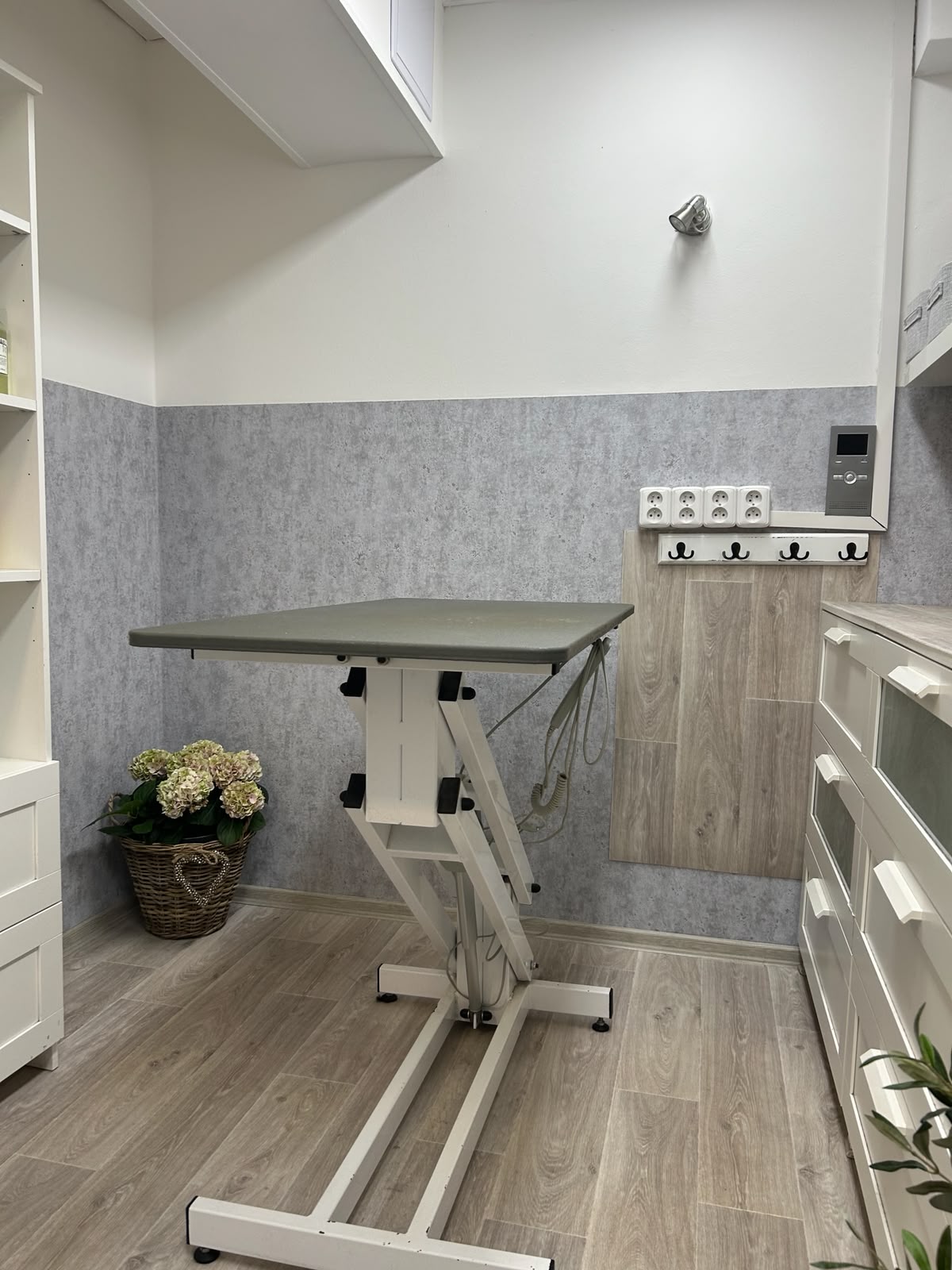 Psí salon LUCI - 5